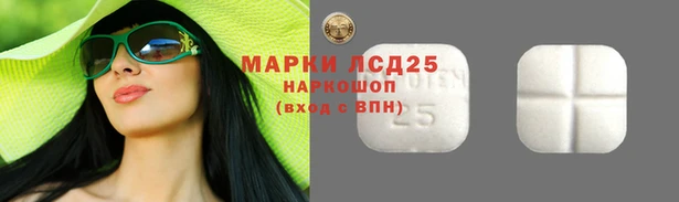 крисы Баксан