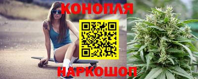 сатива Партизанск