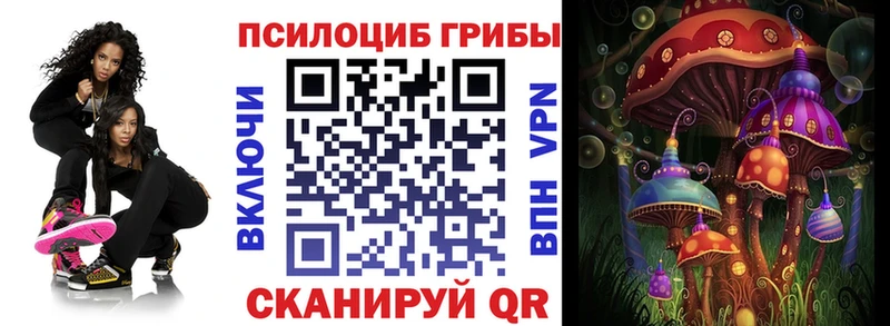 Галлюциногенные грибы Psilocybine cubensis магазин продажи наркотиков Черняховск