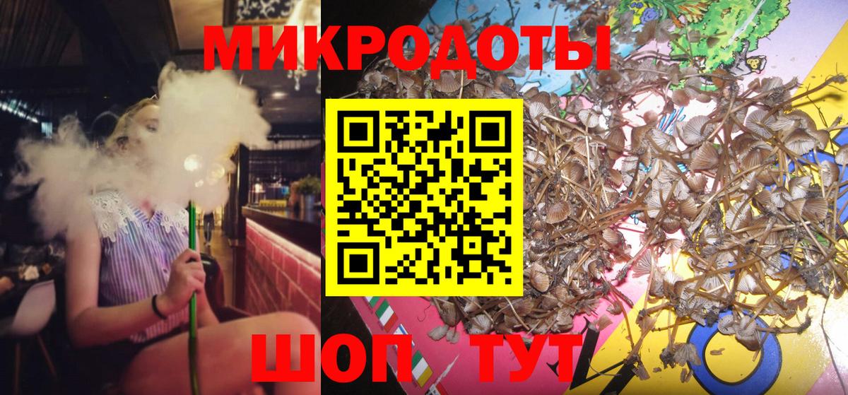 Псилоцибиновые грибы Psilocybe  Вход с VPN  Черняховск 
